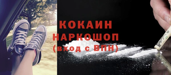 амф Гусев