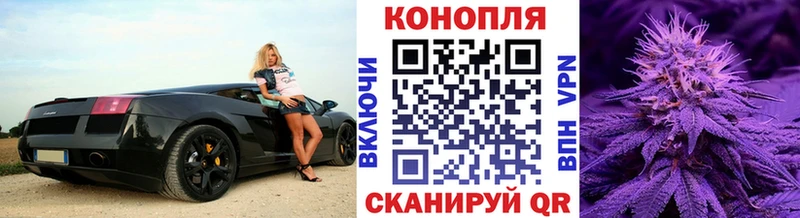 где найти наркотики Светлогорск Марихуана тримм